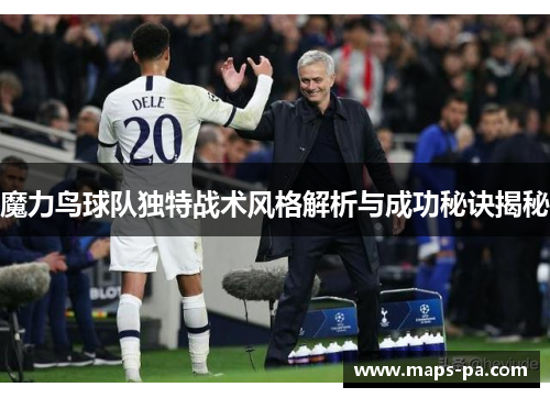 魔力鸟球队独特战术风格解析与成功秘诀揭秘