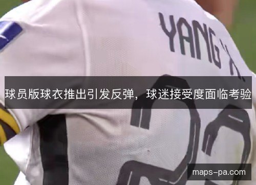球员版球衣推出引发反弹，球迷接受度面临考验